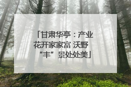 甘肃华亭：产业花开家家富 沃野“丰”景处处美