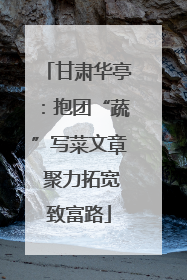 甘肃华亭：抱团“蔬”写菜文章 聚力拓宽致富路