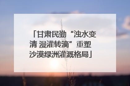 甘肃民勤“浊水变清 漫灌转滴”重塑沙漠绿洲灌溉格局