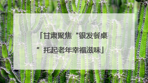 甘肃聚焦“银发餐桌”托起老年幸福滋味