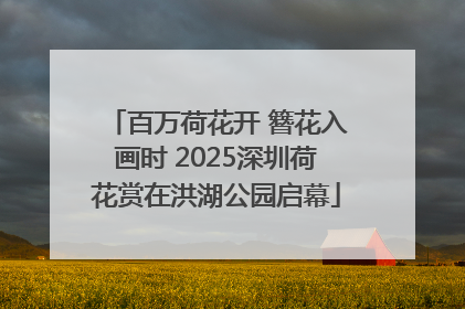 百万荷花开 簪花入画时 2025深圳荷花赏在洪湖公园启幕