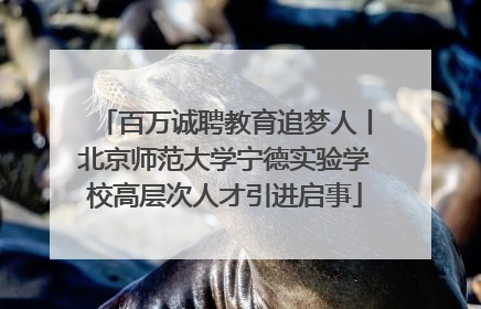 百万诚聘教育追梦人丨北京师范大学宁德实验学校高层次人才引进启事