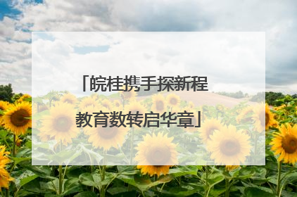 皖桂携手探新程 教育数转启华章