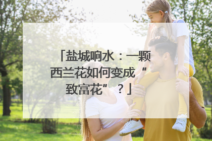 盐城响水：一颗西兰花如何变成“致富花”？