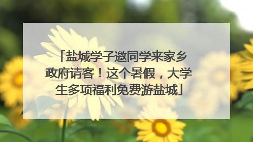 盐城学子邀同学来家乡 政府请客！这个暑假，大学生多项福利免费游盐城
