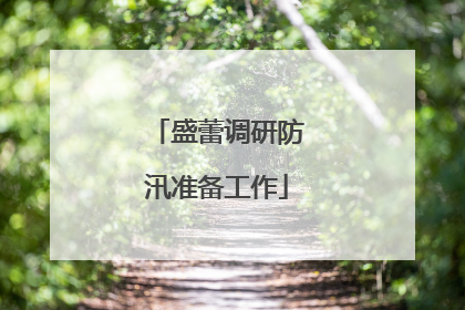 盛蕾调研防汛准备工作