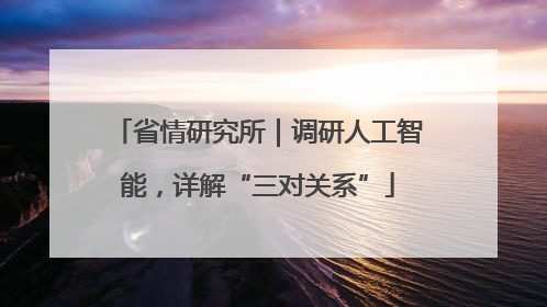 省情研究所｜调研人工智能，详解“三对关系”