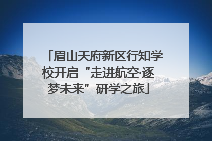 眉山天府新区行知学校开启“走进航空·逐梦未来”研学之旅