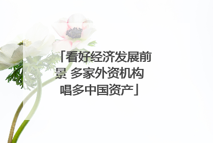 看好经济发展前景 多家外资机构唱多中国资产