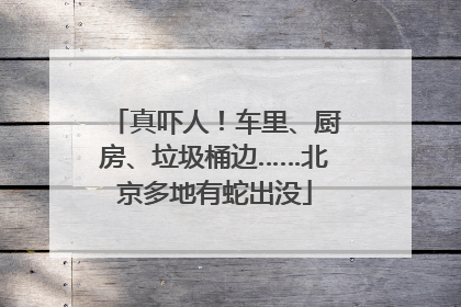 真吓人！车里、厨房、垃圾桶边……北京多地有蛇出没