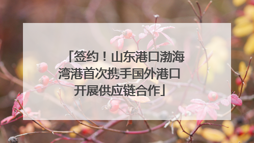 签约！山东港口渤海湾港首次携手国外港口开展供应链合作
