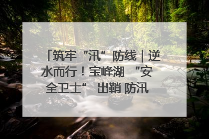 筑牢“汛”防线｜逆水而行！宝峰湖 “安全卫士” 出鞘 防汛应急再添硬核力量