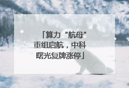 算力“航母”重组启航，中科曙光复牌涨停