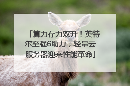 算力存力双升！英特尔至强6助力，轻量云服务器迎来性能革命