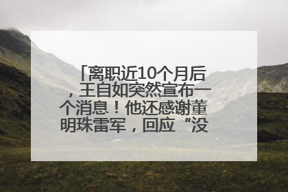 离职近10个月后，王自如突然宣布一个消息！他还感谢董明珠雷军，回应“没看过格力工资条”：真的不那么重要！