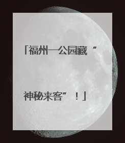 福州一公园藏“神秘来客”！