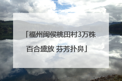 福州闽侯桃田村3万株百合盛放 芬芳扑鼻
