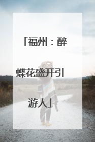 福州：醉蝶花盛开引游人
