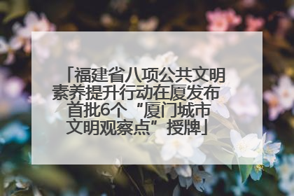 福建省八项公共文明素养提升行动在厦发布 首批6个“厦门城市文明观察点”授牌