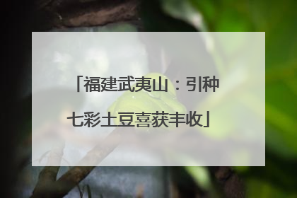 福建武夷山：引种七彩土豆喜获丰收
