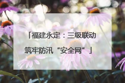 福建永定:三级联动筑牢防汛“安全网”
