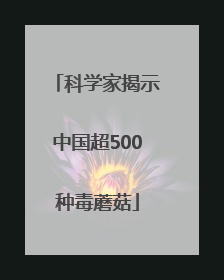科学家揭示中国超500种毒蘑菇