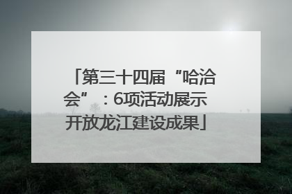 第三十四届“哈洽会”：6项活动展示开放龙江建设成果