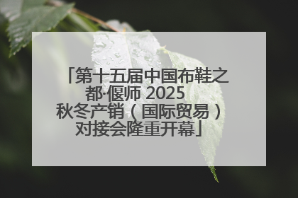 第十五届中国布鞋之都·偃师 2025 秋冬产销（国际贸易）对接会隆重开幕