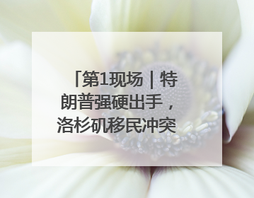 第1现场｜特朗普强硬出手，洛杉矶移民冲突如何破局