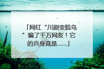 网红“川剧变脸鸟”骗了千万网友！它的真身竟是……