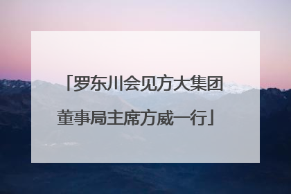 罗东川会见方大集团董事局主席方威一行
