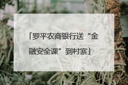 罗平农商银行送“金融安全课”到村寨