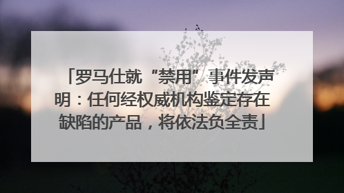 罗马仕就“禁用”事件发声明：任何经权威机构鉴定存在缺陷的产品，将依法负全责