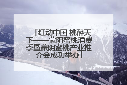 红动中国 桃醉天下——蒙阴蜜桃消费季暨蒙阴蜜桃产业推介会成功举办