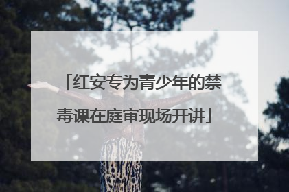 红安专为青少年的禁毒课在庭审现场开讲