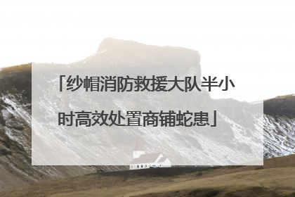 纱帽消防救援大队半小时高效处置商铺蛇患