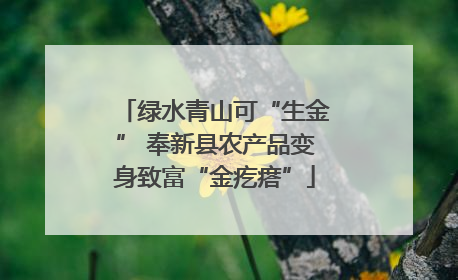 绿水青山可“生金” 奉新县农产品变身致富“金疙瘩”