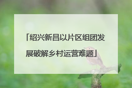 绍兴新昌以片区组团发展破解乡村运营难题