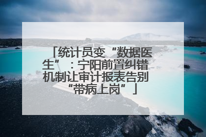 统计员变“数据医生”：宁阳前置纠错机制让审计报表告别“带病上岗”