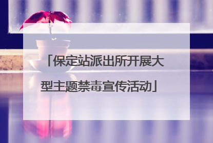 保定站派出所开展大型主题禁毒宣传活动