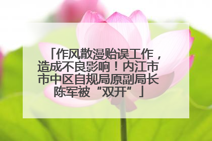 作风散漫贻误工作，造成不良影响！内江市市中区自规局原副局长陈军被“双开”