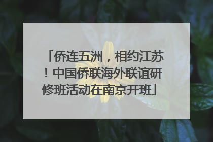 侨连五洲，相约江苏！中国侨联海外联谊研修班活动在南京开班