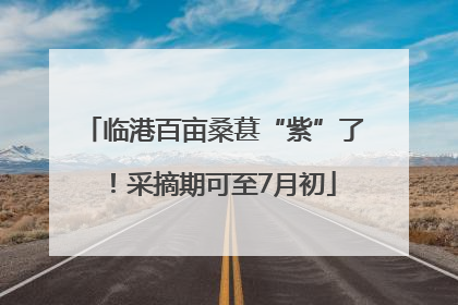临港百亩桑葚“紫”了！采摘期可至7月初