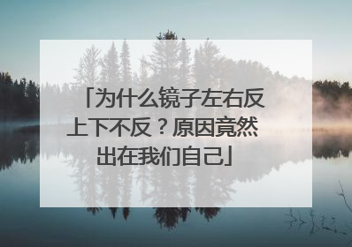 为什么镜子左右反上下不反？原因竟然出在我们自己