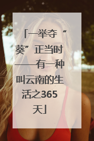 一举夺“葵”正当时——有一种叫云南的生活之365天