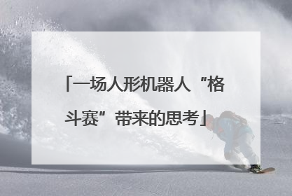 一场人形机器人“格斗赛”带来的思考