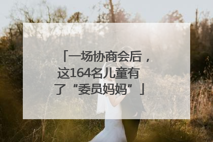 一场协商会后，这164名儿童有了“委员妈妈”