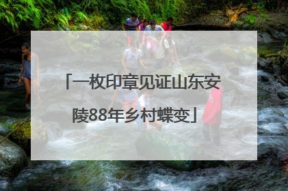 一枚印章见证山东安陵88年乡村蝶变