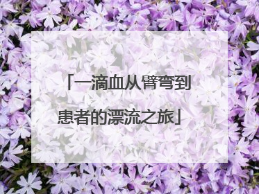 一滴血从臂弯到患者的漂流之旅