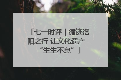 七一时评｜循迹洛阳之行 让文化遗产“生生不息”